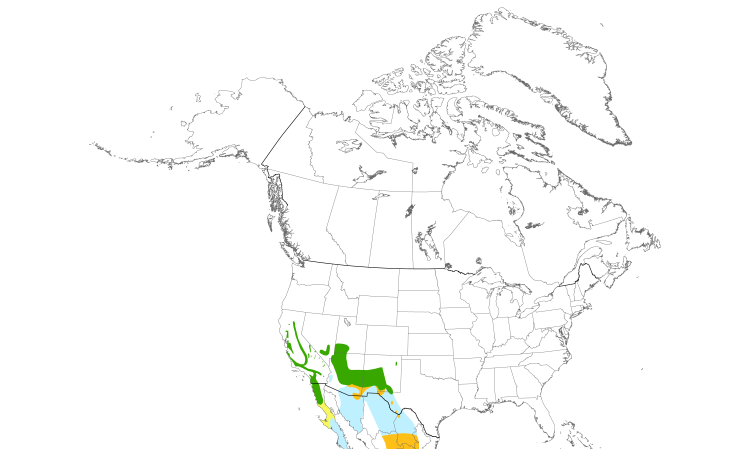 Range Map (North): Black-chinned Sparrow