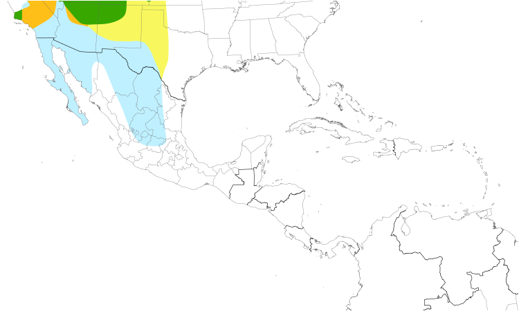 Range Map (Central): Brewer's Sparrow