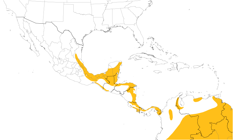 Range Map (Central): Black-and-white Hawk-Eagle