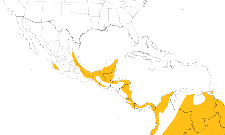 Range Map (Central): Ornate Hawk-Eagle