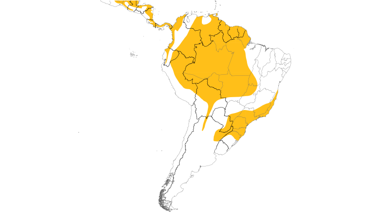 Range Map (South): Ornate Hawk-Eagle