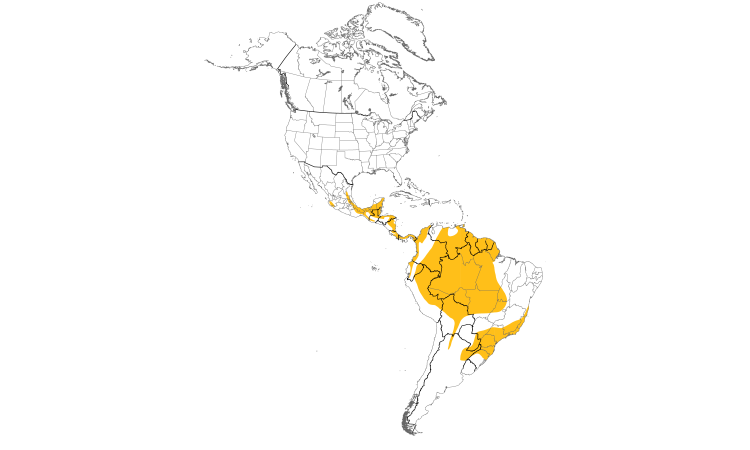 Range Map (Americas): Ornate Hawk-Eagle