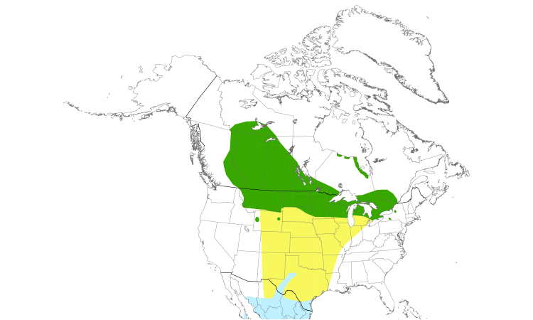 Range Map (North): Clay-colored Sparrow