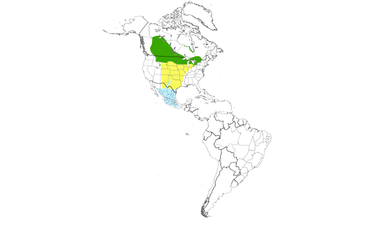 Range Map (Americas): Clay-colored Sparrow