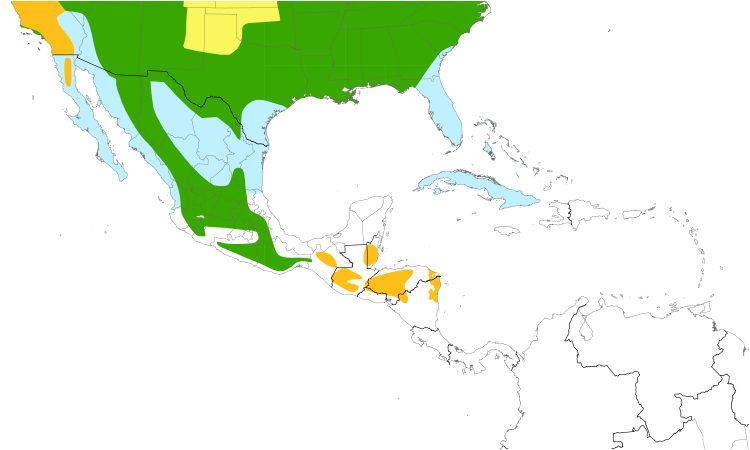 Range Map (Central): Chipping Sparrow