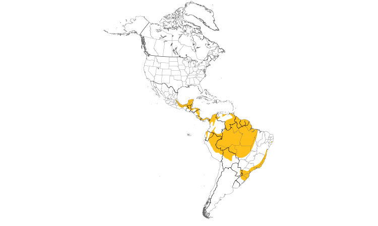 Range Map (Americas): Black Hawk-Eagle