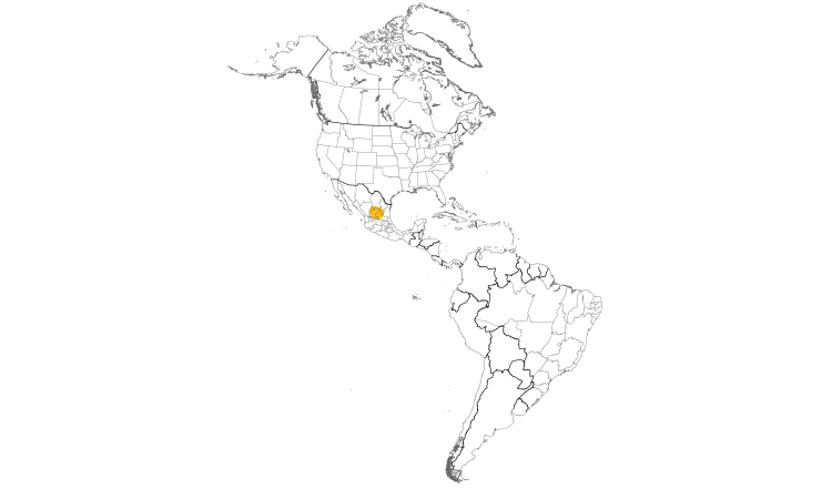Range Map (Americas): Worthen's Sparrow