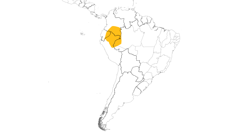 Range Map (South): Caqueta Seedeater
