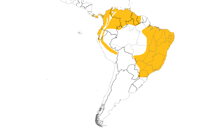 Range Map (South): Yellow-bellied Seedeater