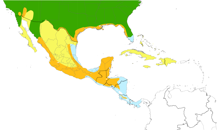 Range Map (Central): Northern Rough-winged Swallow