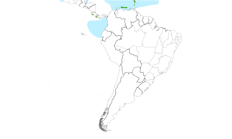Range Map (South): Bridled Tern