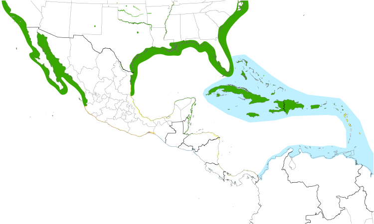 Range Map (Central): Least Tern