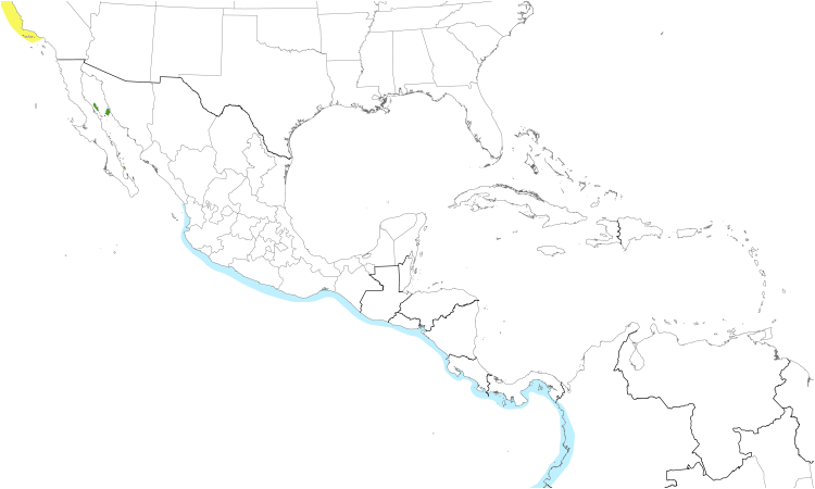 Range Map (Central): Elegant Tern