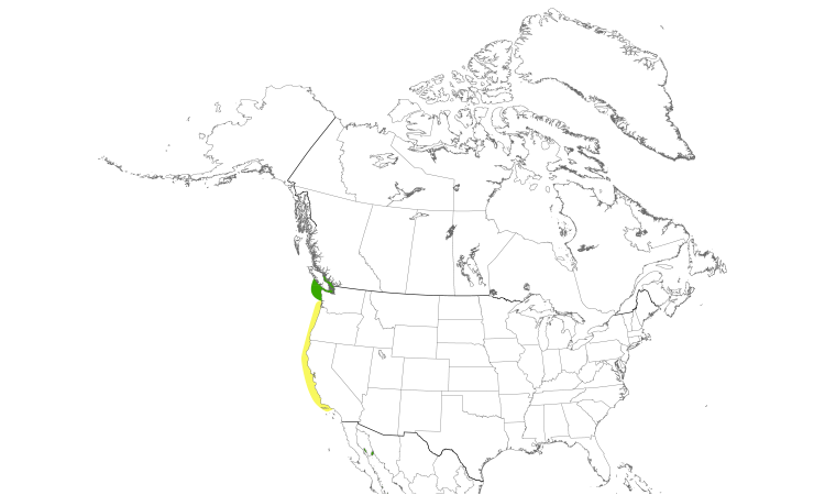 Range Map (North): Elegant Tern
