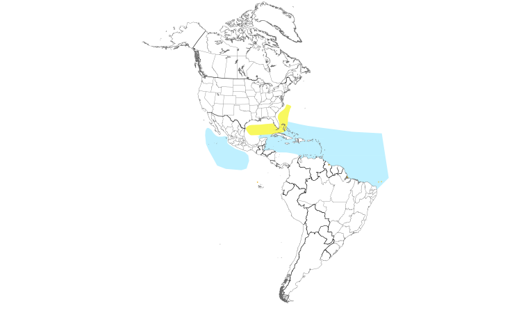Range Map (Americas): Sooty Tern
