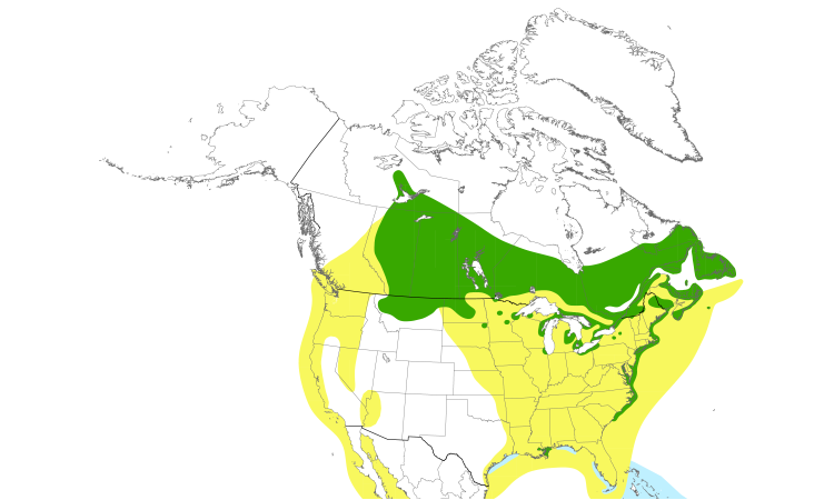 Range Map (North): Common Tern