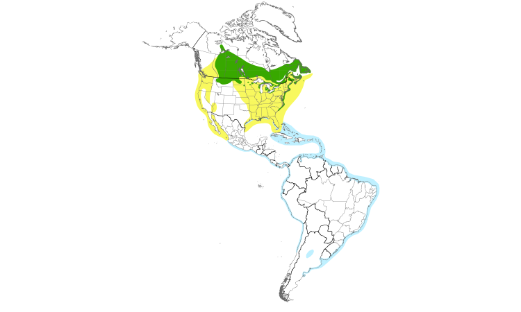 Range Map (Americas): Common Tern