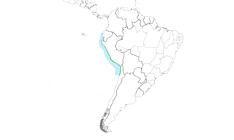 Range Map (South): Peruvian Tern