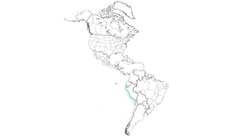 Range Map (Americas): Peruvian Tern