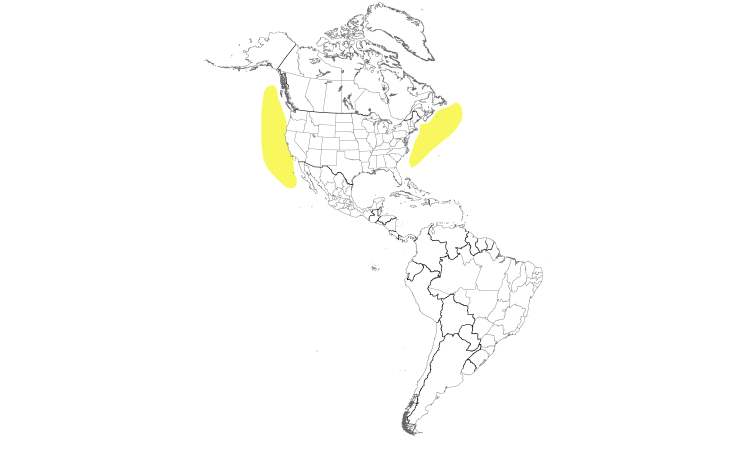 Range Map (Americas): South Polar Skua