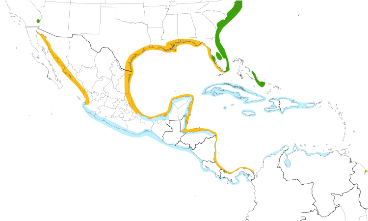 Range Map (Central): Gull-billed Tern