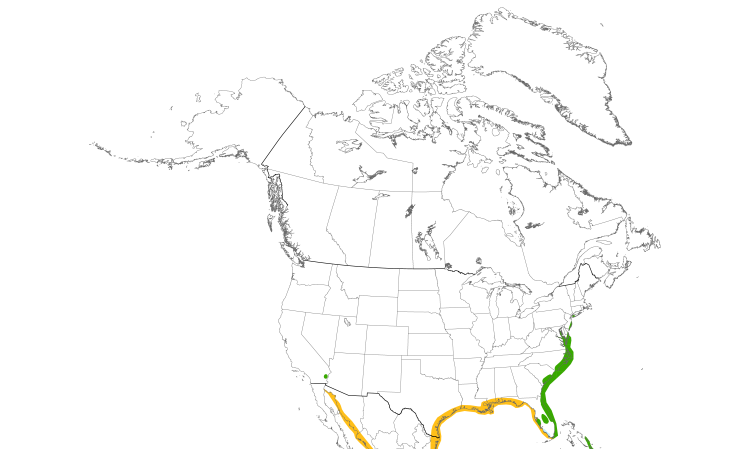 Range Map (North): Gull-billed Tern