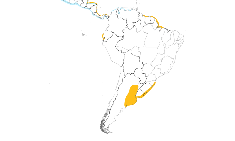 Range Map (South): Gull-billed Tern
