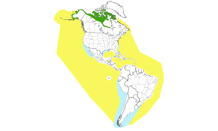 Range Map (Americas): Parasitic Jaeger