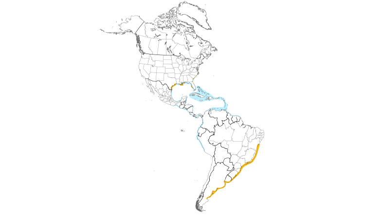 Range Map (Americas): Sandwich Tern