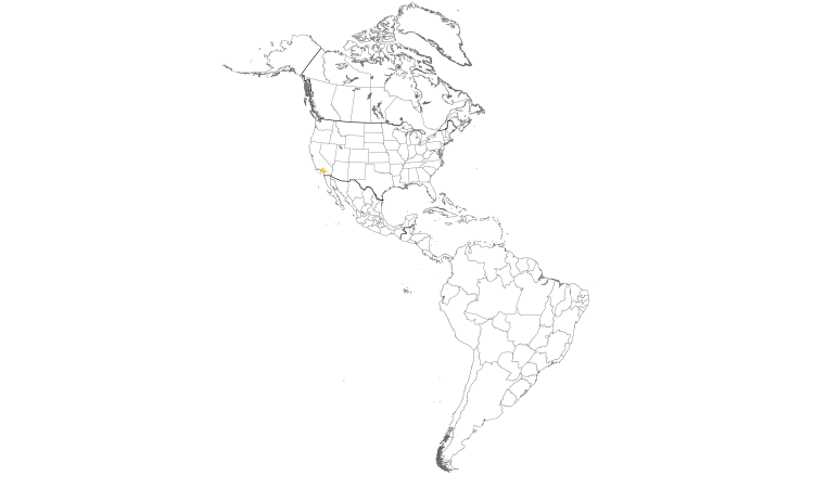 Range Map (Americas): Spotted Dove