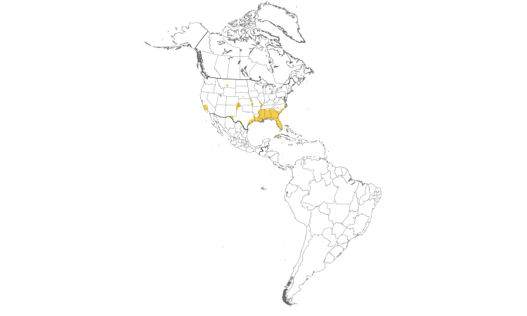 Range Map (Americas): Eurasian Collared-Dove