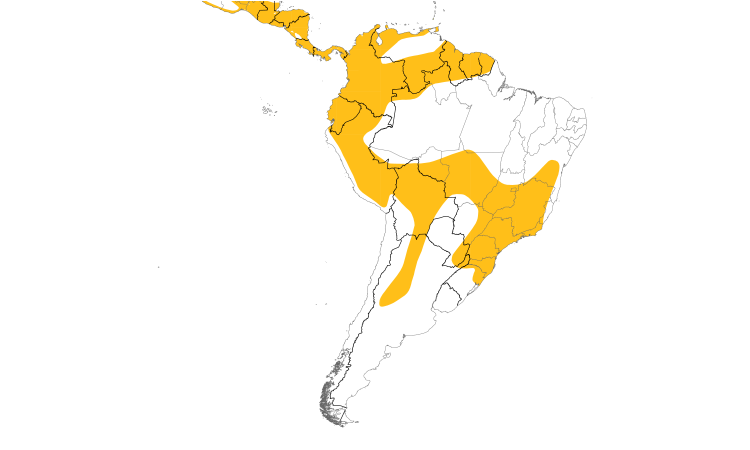 Range Map (South): White-collared Swift