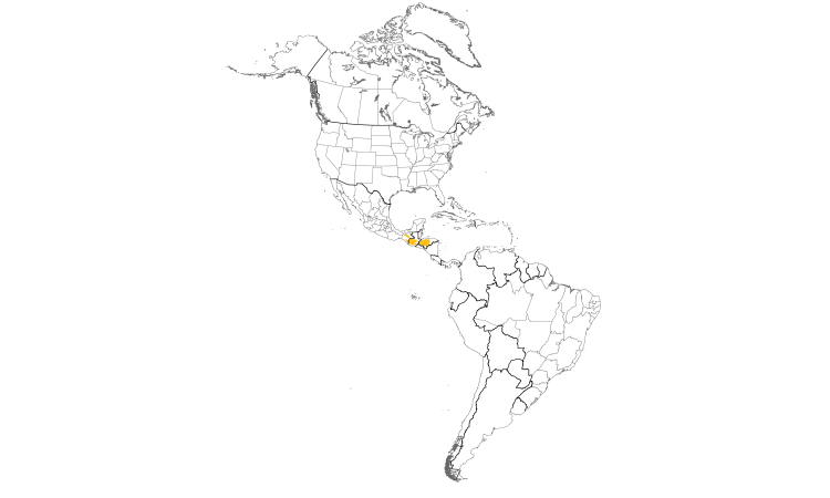 Range Map (Americas): Fulvous Owl