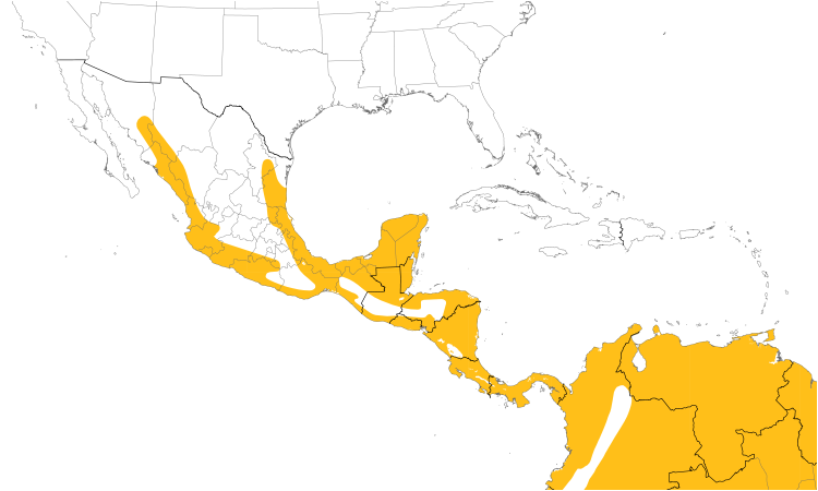 Range Map (Central): Mottled Owl