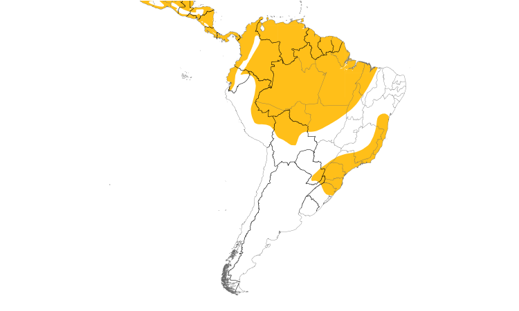 Range Map (South): Mottled Owl