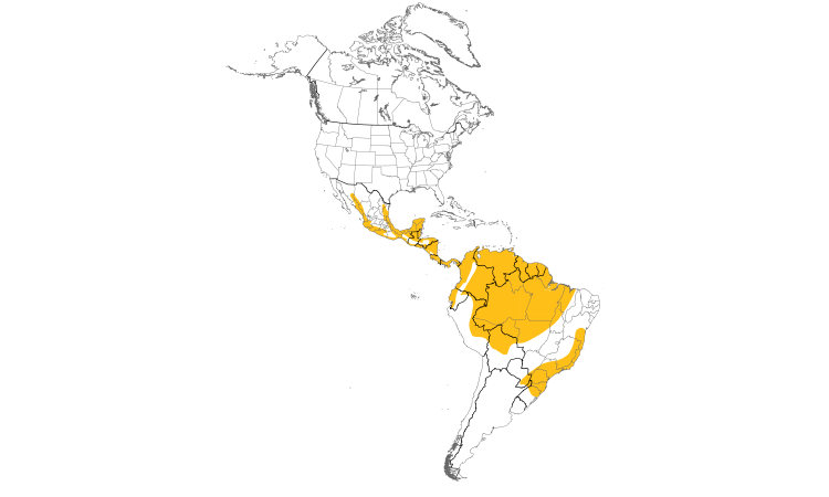 Range Map (Americas): Mottled Owl
