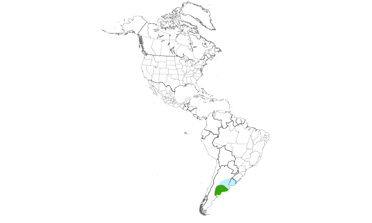 Range Map (Americas): Pampas Meadowlark