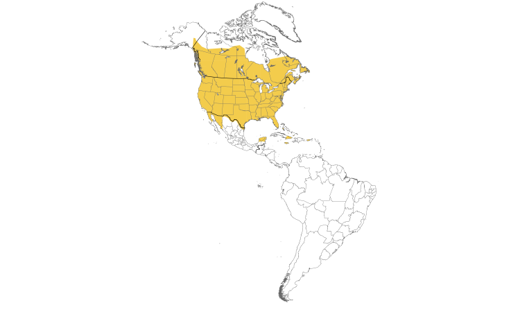 Range Map (Americas): European Starling
