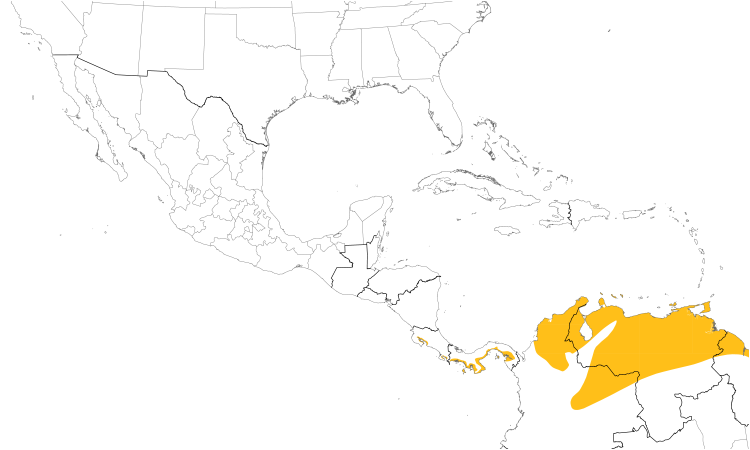 Range Map (Central): Northern Scrub-Flycatcher