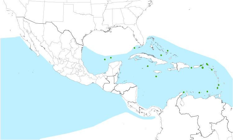 Range Map (Central): Masked Booby
