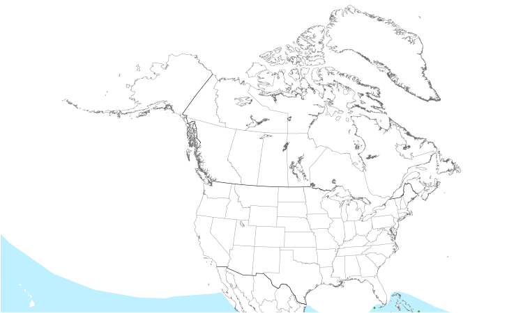 Range Map (North): Masked Booby