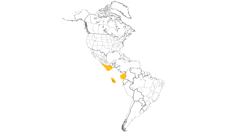 Range Map (Americas): Nazca Booby