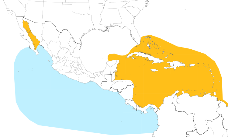 Range Map (Central): Brown Booby