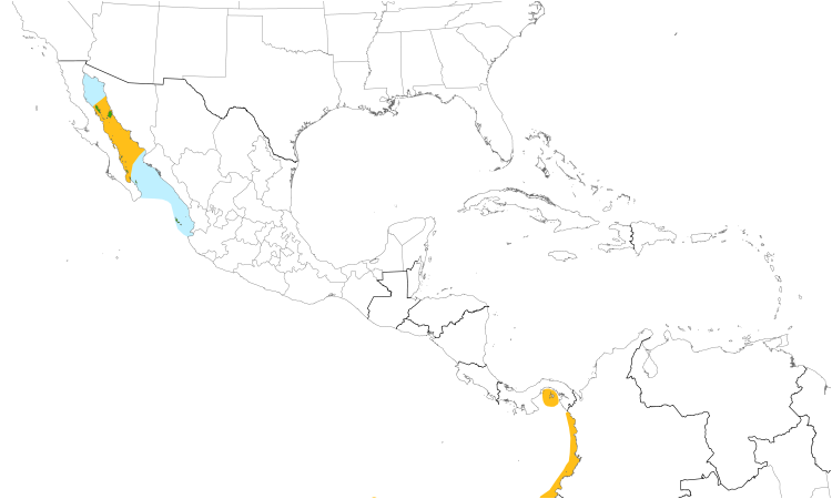 Range Map (Central): Blue-footed Booby