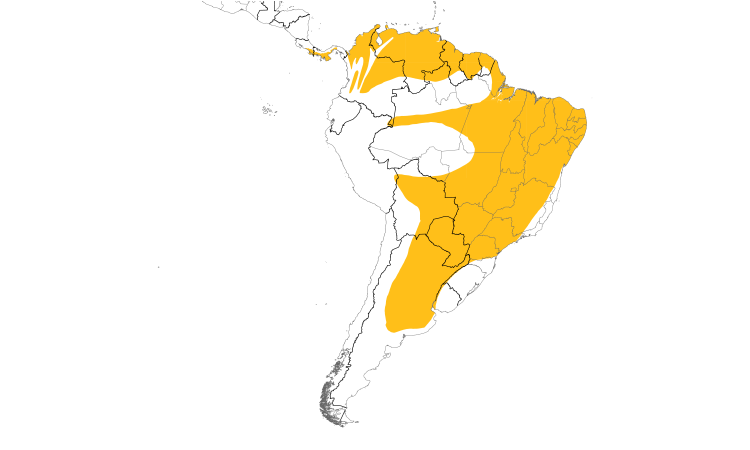 Range Map (South): Pale-breasted Spinetail