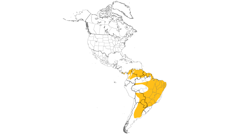 Range Map (Americas): Pale-breasted Spinetail