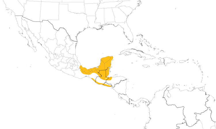 Range Map (Central): Rufous-breasted Spinetail