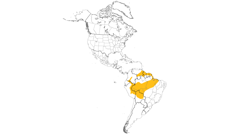 Range Map (Americas): Plain-crowned Spinetail