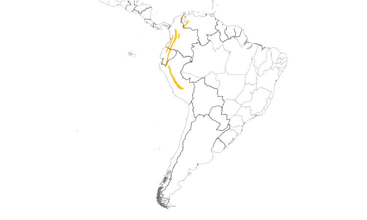 Range Map (South): Rufous Spinetail