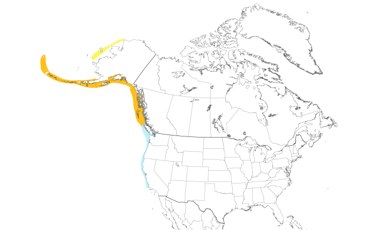 Range Map (North): Ancient Murrelet